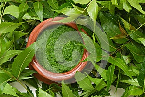 Neem leaves used as ayurvedic medicine with ground paste