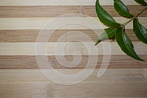 Neem leaves on wooden plank