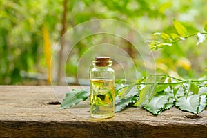 Neem oil in bottle and fresh neem leaf on wooden.