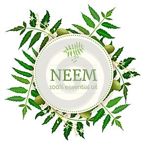 Neem Round Circle badge. leaf branch, flowers and pods. Ayurveda Herb template