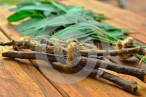 neem twig on wooden table,beautiful neem twig and green leaves,wooden table on ayurvedic neem,herbal neem on wooden,neem