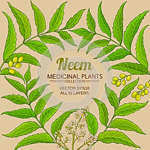 Neem vector frame