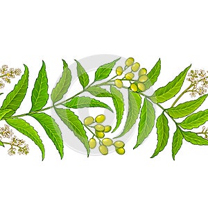 Neem vector pattern