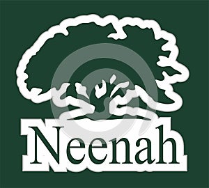 Neenah Wisconsin with green background