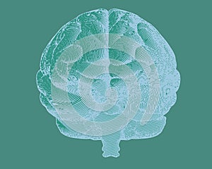 Negative engraving brain in front view on green BG