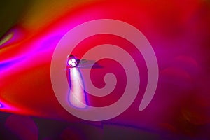 Negative of a little torchlight with three LEDs