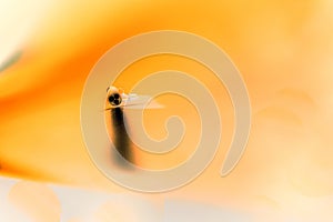 Negative of a little torchlight with three LEDs