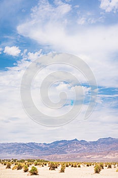 Negative space view of Death Valley National Park desert scenery