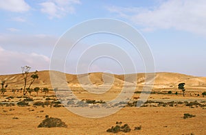 Negev Desert in Israel. photo