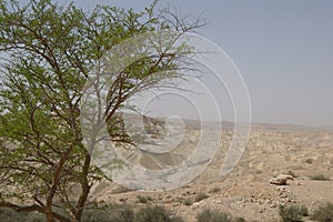 Negev Desert, Israel photo