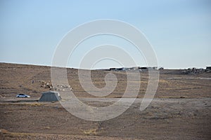 The Negev desert, Israel. Bedouin settlement of Arara