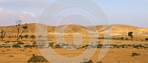 Negev Desert in Israel (panorama). photo