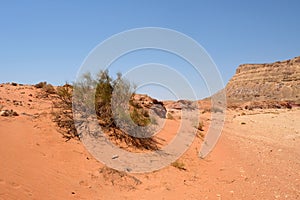 Negev desert landscape.