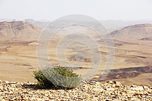 Negev desert and Ramon crater.