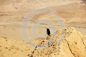 Negev desert and Ramon crater.