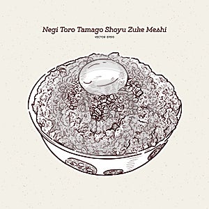 Negi Toro Tamago Shoyu Zuke Meshi Donburi, hand draw sketch vector