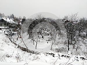 Neglected garden covered with snow