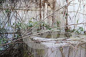 Neglected HVAC Unit is Being Overgrown by Vegetation