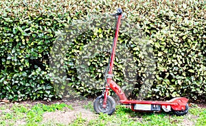 Neglected red motorized scooter leaning against green hedges