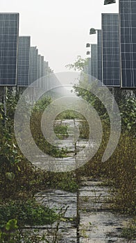 Neglected solar farm with damaged panels showing decay theme photo
