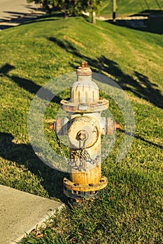 Neighborhood Fire Hydrant With Grass Behind