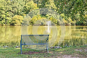 Neighborhood Fountain, Pond or Lake, and Bench