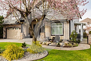 Neighborhood modern houses with spring flowers in patio in BC, Canada