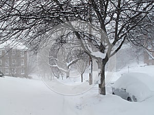 Neighborhood Sidewalk During the Blizzard