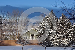 Neighborhood After a Snowstorm