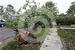 Neighborhood storm damage photo