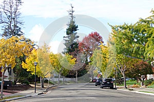 Neighborhood street lined with trees in autumn colors