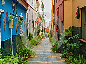 Vecinos decorar callejón a casas afuera sobre el 