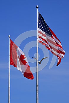 Neighbors Fly Their Flags Together photo