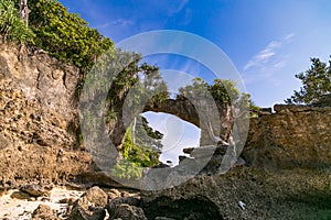 Neills Island bridge