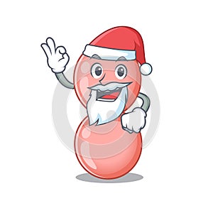 Neisseria gonorrhoeae Santa cartoon character with cute ok finger