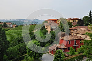 Neive, Langhe region. Piemonte, Italy