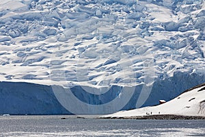 Neko Harbor Glacier - Antarctic Peninsula - Antarctica