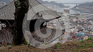 Neko-no-Hosomichi Cat Alley in Onomichi City