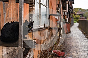 Neko-no-Hosomichi Cat Alley in Onomichi City. Hiroshima Prefecture, Japan