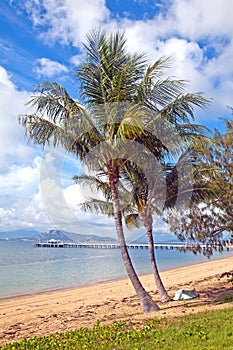 Nelly Bay Jetty and Palm Trees, Magnetic Island Townsville Australia