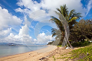 Nelly Bay Jetty and Palm Trees, Magnetic Island Townsville