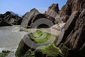 Nelson Bay Rocks
