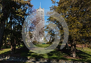 Nelson cathedral with trees in parkland