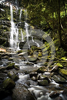 Nelson Falls, Tasmania