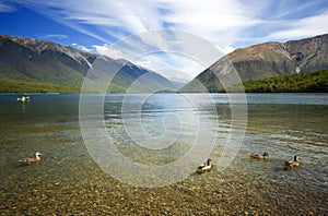 Nelson Lakes Landscape