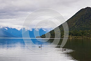 Nelson Lakes New Zealand photo