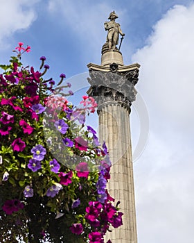 Nelsons Column on Trafalgar Square in London, UK