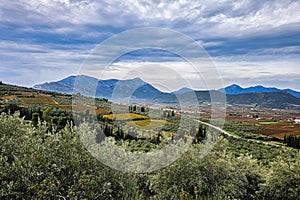 Nemea korinthia peloponese vineyards