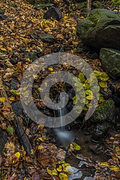 Nemecsky creek in Prucelska valley in autumn evening with color leafs