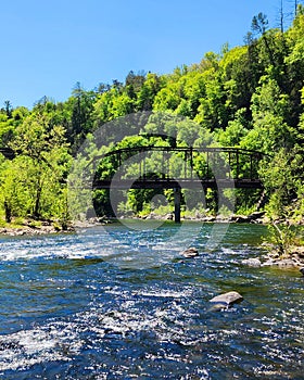 Nemo Truss Bridge Emory River nature art